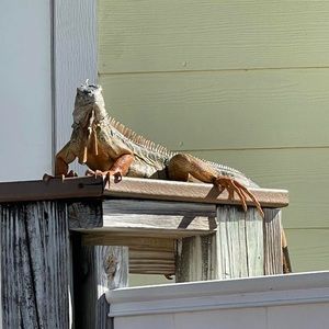 Meet your Posher, Greg